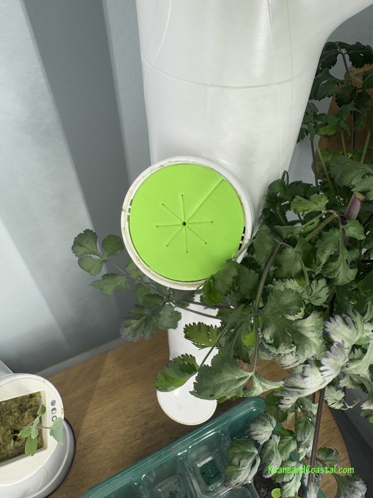 cloning collars used as cas for Gardyn