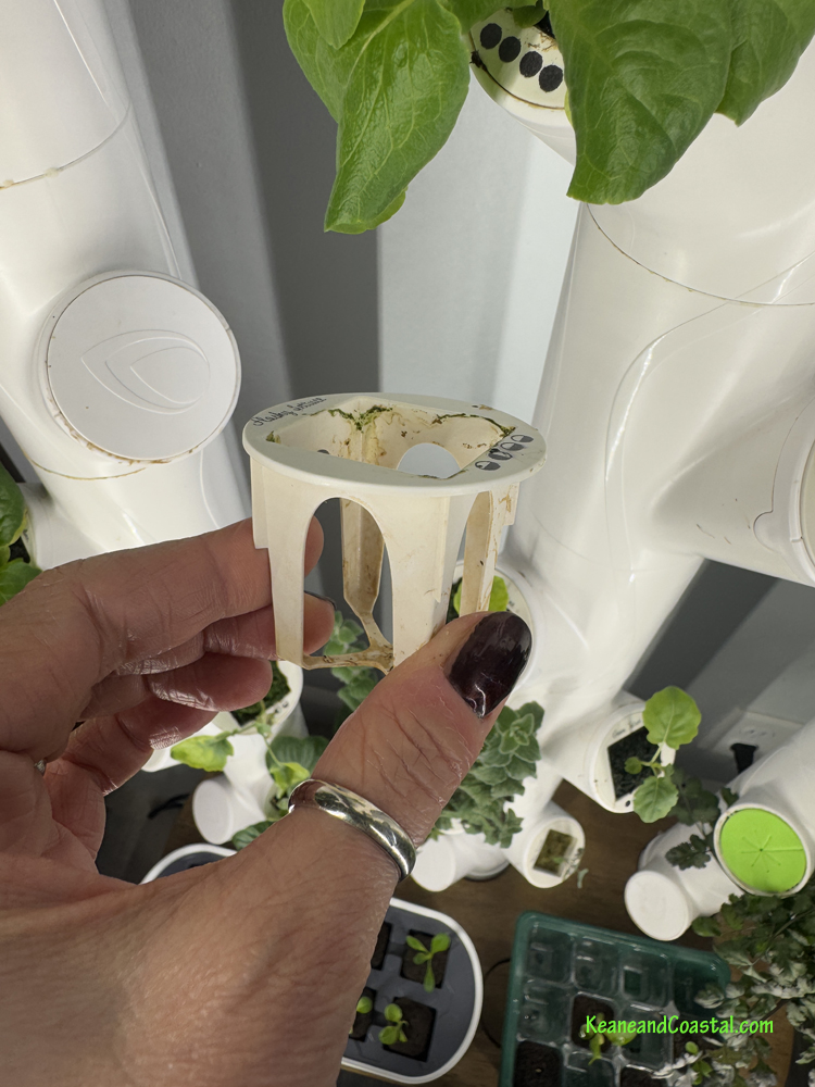 reusing gardyn ycubes