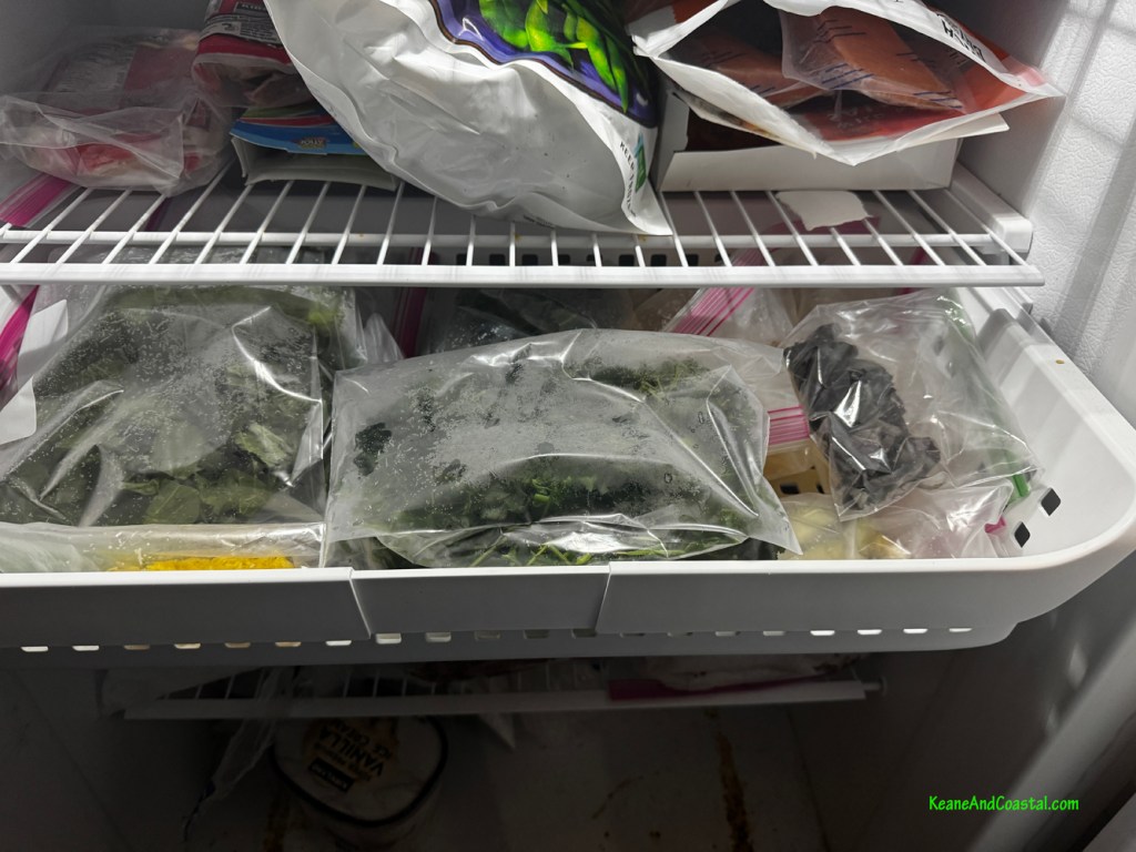 My drawer of frozen herbs and greens in the freezer